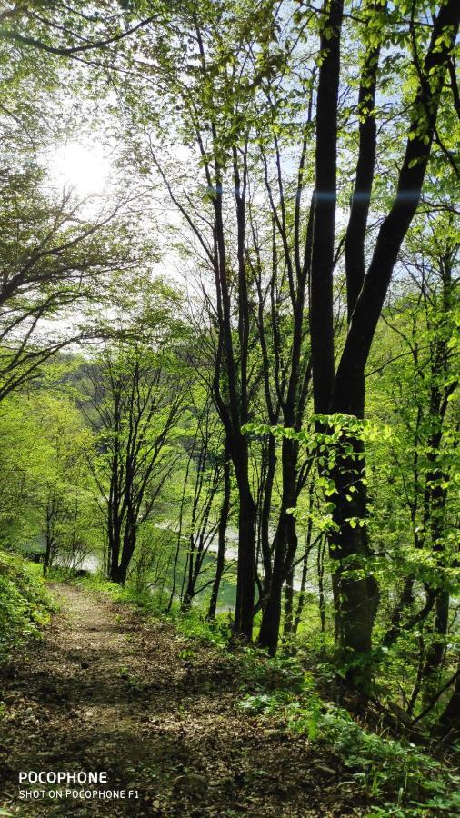 Smaragd River Near Rastoke & Plitvice Lakes Слуни Экстерьер фото